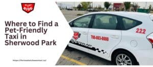 Pet-Friendly Taxi