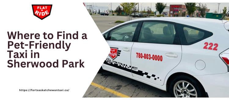Pet-Friendly Taxi